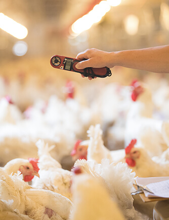 Ag亚洲集团(中国区)官方网站