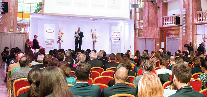 Ag亚洲集团(中国区)官方网站