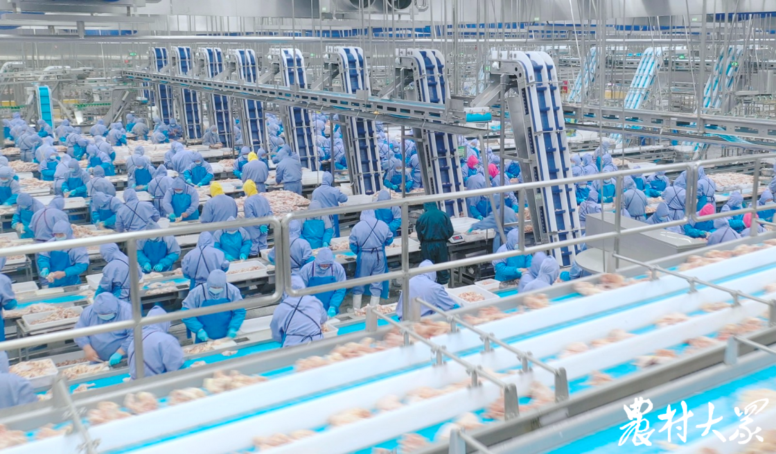 Ag亚洲集团(中国区)官方网站