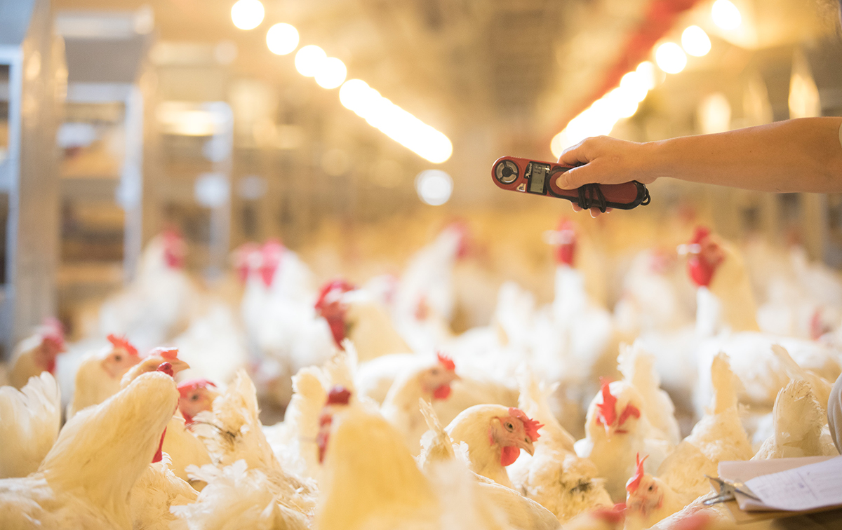 Ag亚洲集团(中国区)官方网站